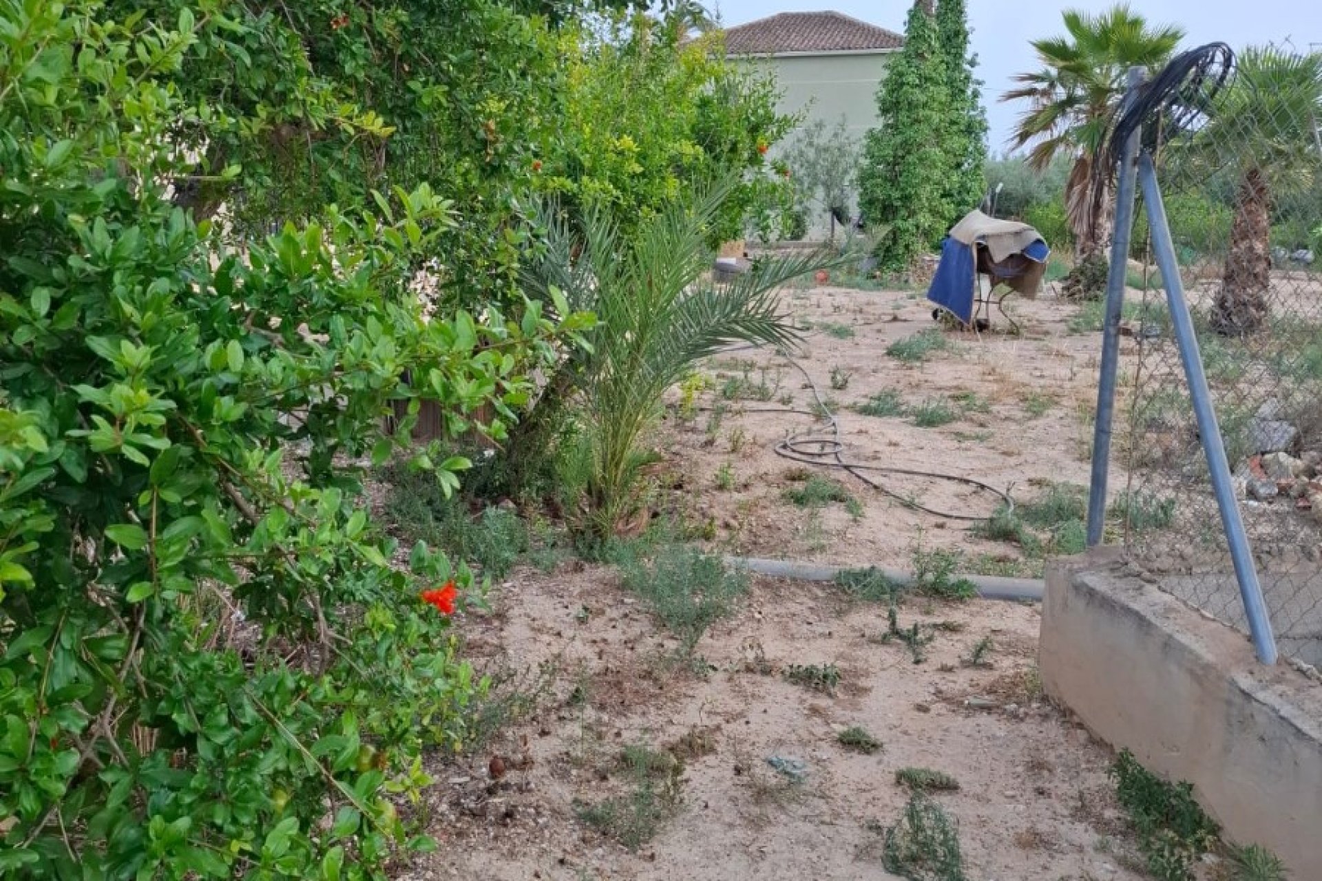 Resale - Townhouse / Duplex / Corner - Elche - Matola