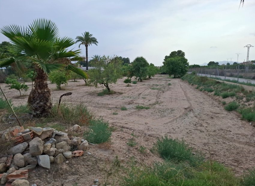 Resale - Townhouse / Duplex / Corner - Elche - Matola