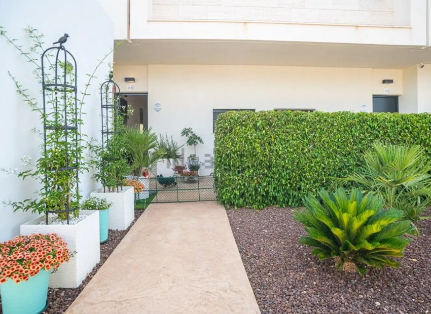 Resale - Townhouse / Duplex / Corner - Pilar de la Horadada - Lo Romero Golf