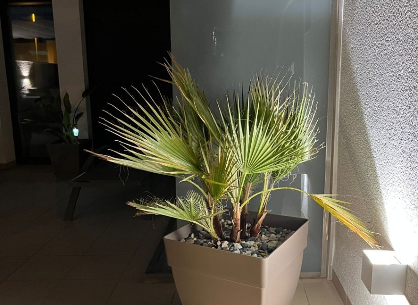 Resale - Townhouse / Duplex / Corner - San Pedro del Pinatar