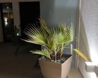 Resale - Townhouse / Duplex / Corner - San Pedro del Pinatar