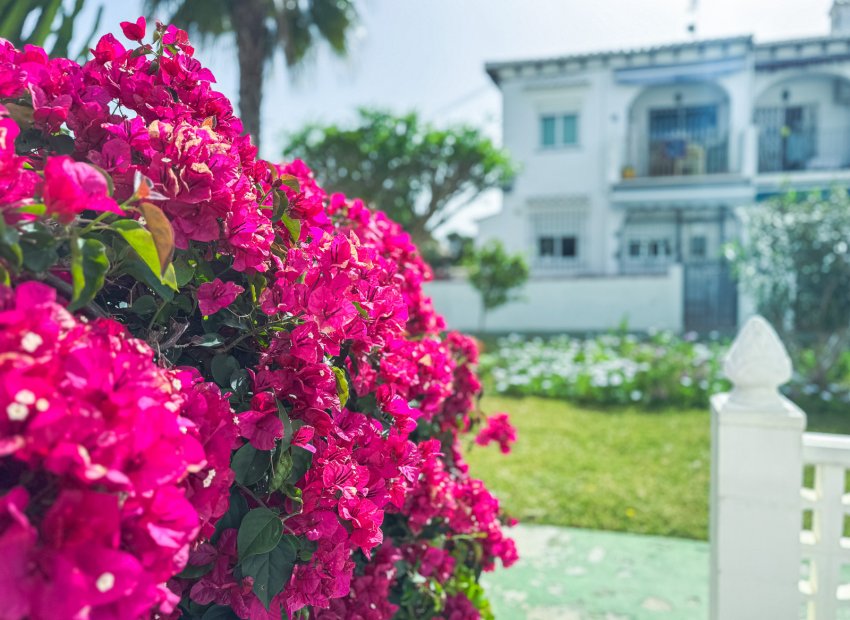 Resale - Townhouse / Duplex / Corner - Torrevieia - Lago Jardin