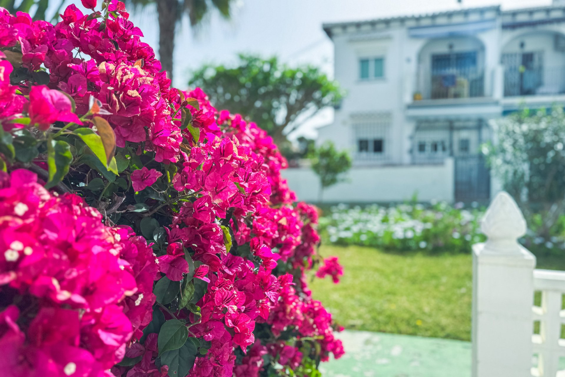 Resale - Townhouse / Duplex / Corner - Torrevieia - Lago Jardin