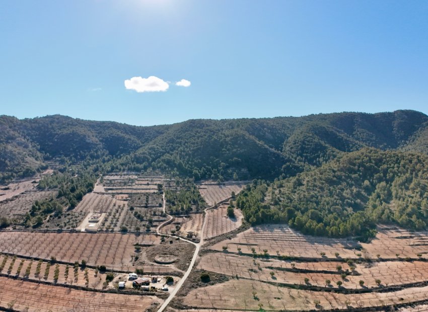 Resale - Villa - Abanilla - Cañada de la Leña