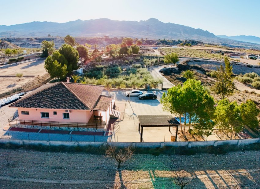 Resale - Villa - Abanilla - Cañada de la Leña