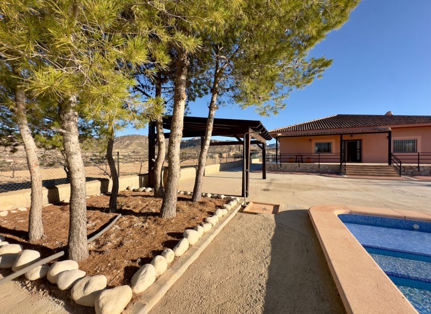 Resale - Villa - Abanilla - Cañada de la Leña