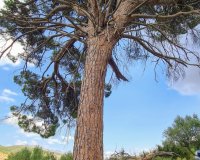 Resale - Villa - Alcoy - Muro de Alcoy