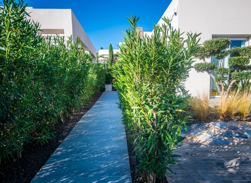 Resale - Villa - Algorfa - LA FINCA GOLF / ALGORFA