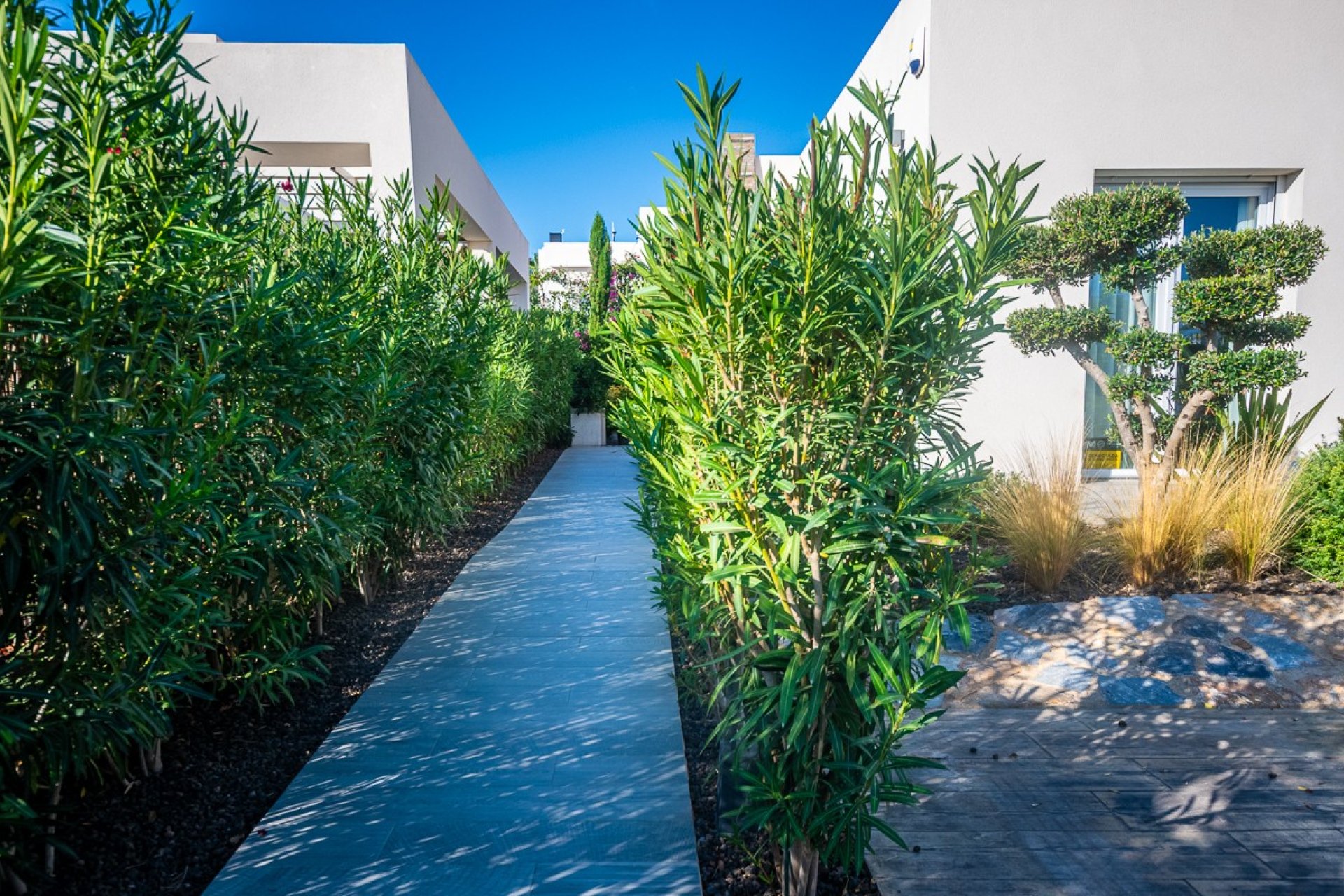 Resale - Villa - Algorfa - LA FINCA GOLF / ALGORFA