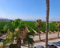 Resale - Villa - Algorfa - La finca Golf