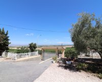 Resale - Villa - Algorfa - Lomas de La Juliana