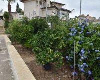 Resale - Villa - Algorfa - Montemar