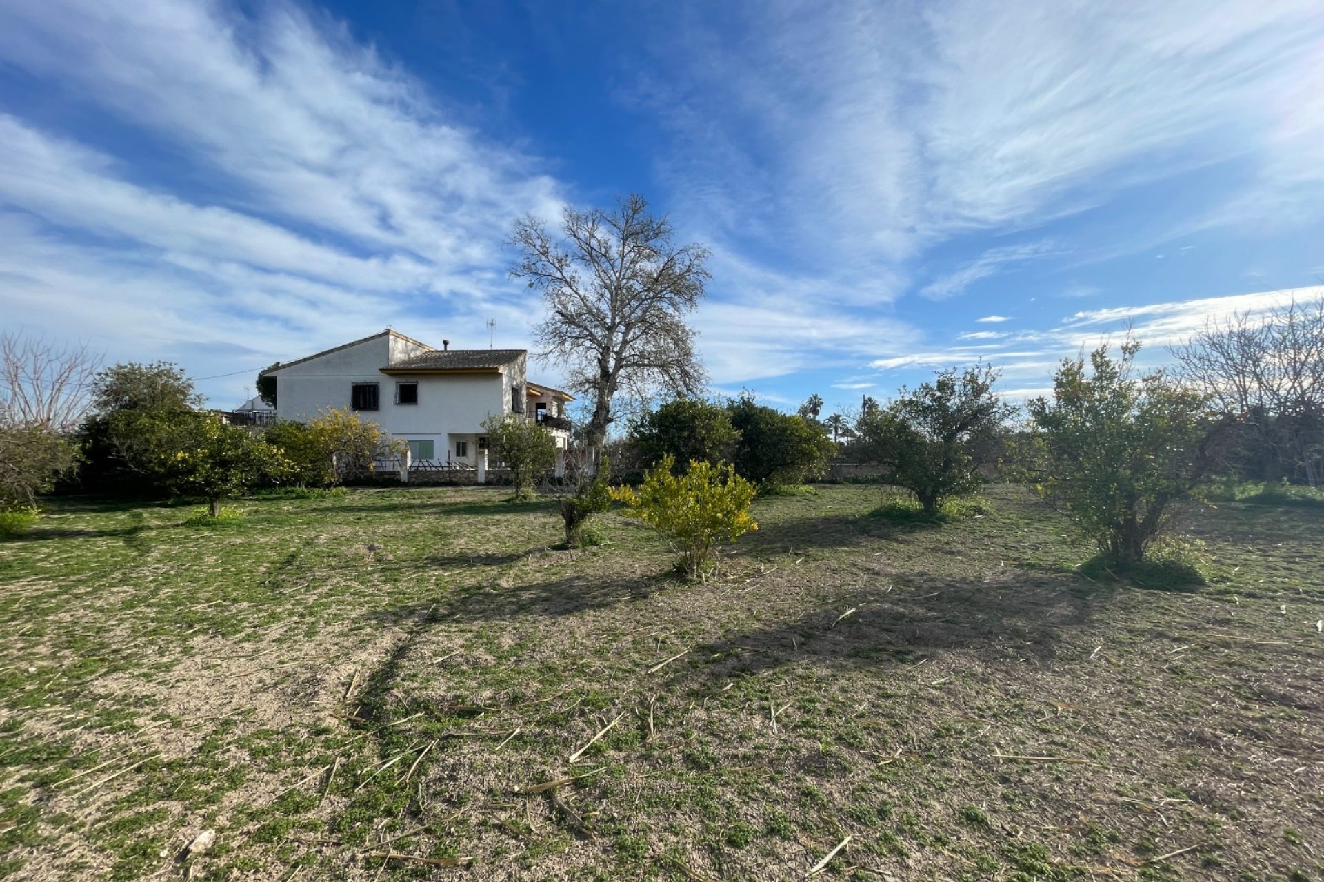 Resale - Villa - Benejúzar - Comunidad Valenciana