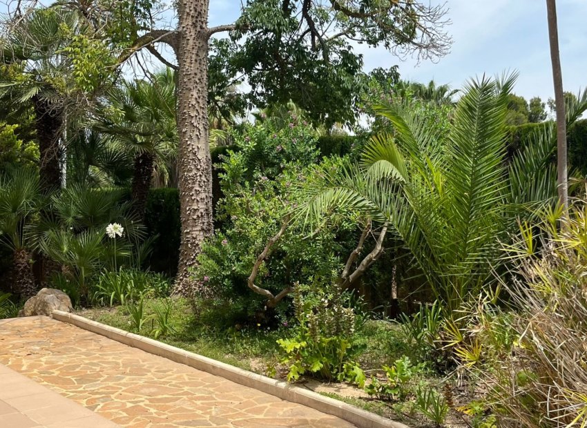 Resale - Villa - Benidorm