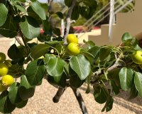 Resale - Villa - Benidorm