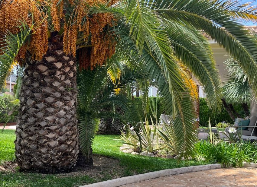 Resale - Villa - Benidorm