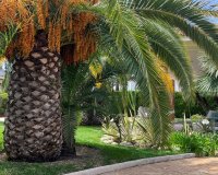 Resale - Villa - Benidorm