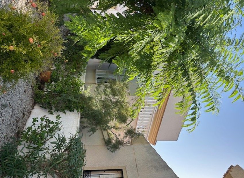 Resale - Villa - Ciudad Quesada - Airstrip