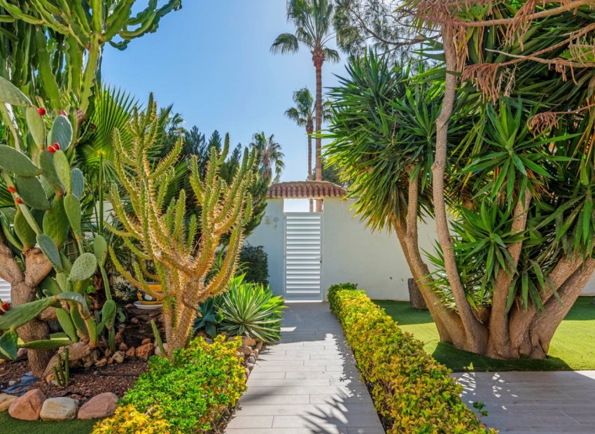 Resale - Villa - Ciudad Quesada - Doña Pepa