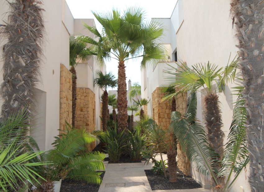 Resale - Villa - Ciudad Quesada - Doña Pepa