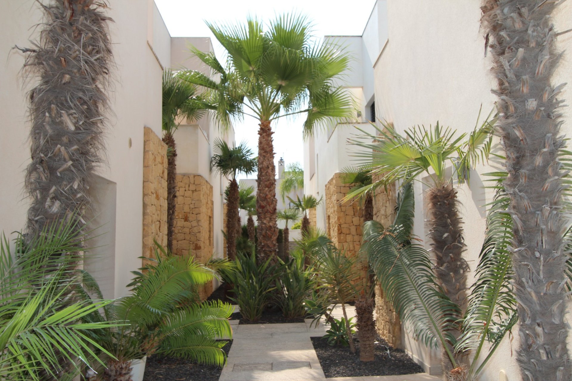 Resale - Villa - Ciudad Quesada - Doña Pepa