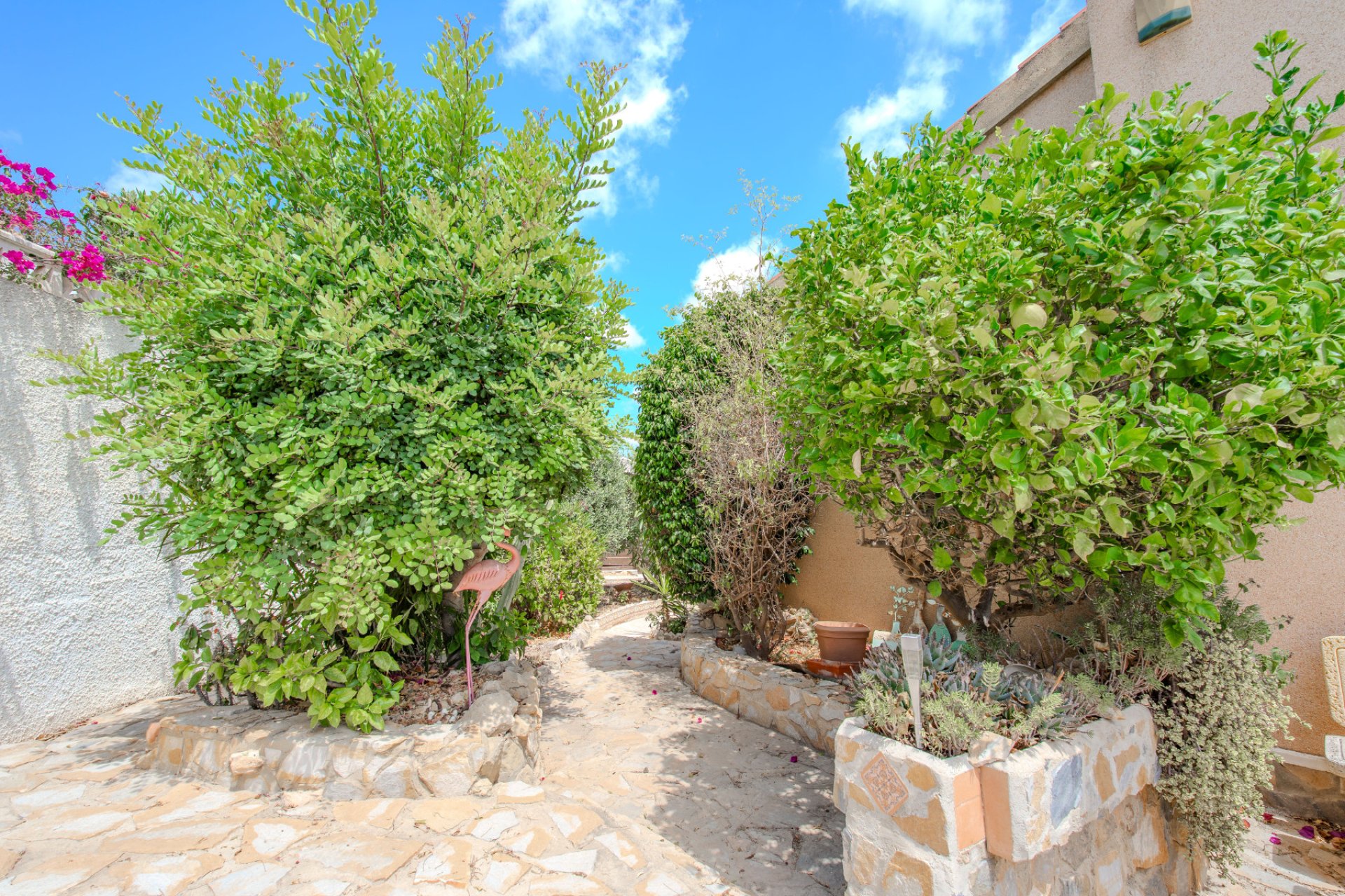 Resale - Villa - Ciudad Quesada - La Marquesa Golf