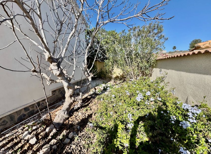 Resale - Villa - Ciudad Quesada - Lo Pepin