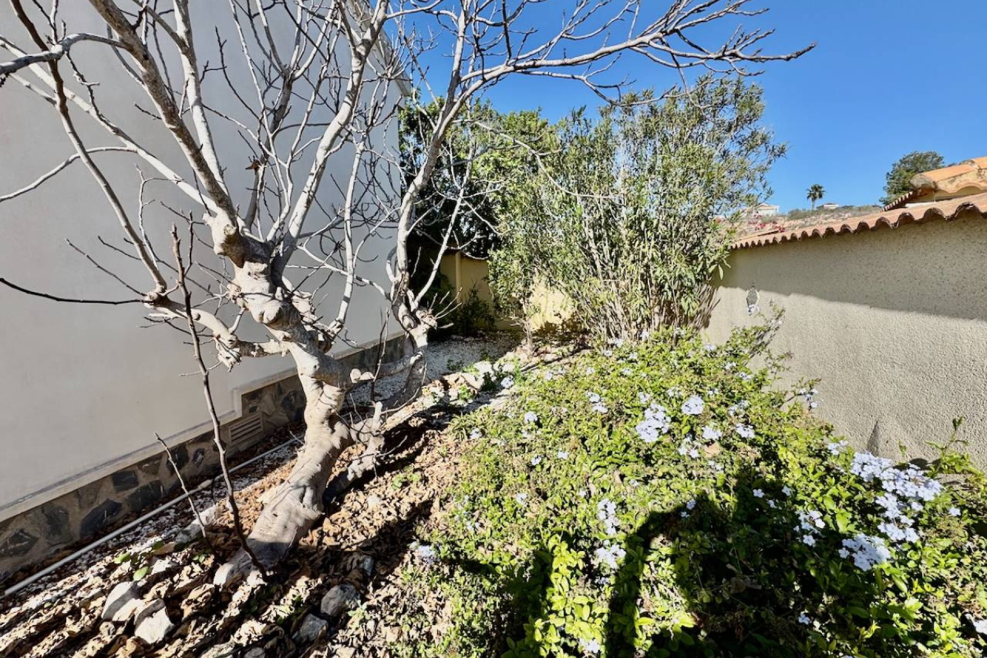 Resale - Villa - Ciudad Quesada - Lo Pepin