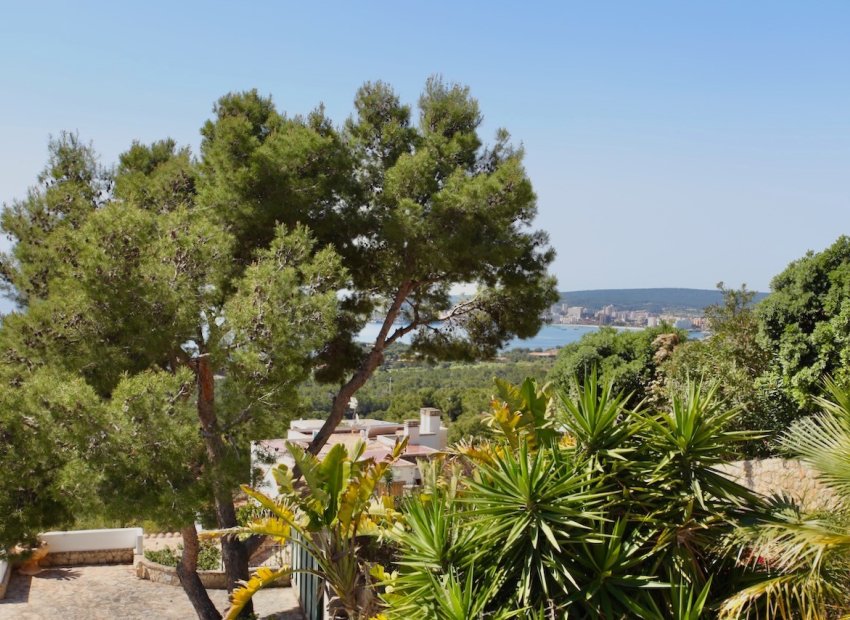 Resale - Villa - COSTA D'EN BLANES - Calvià