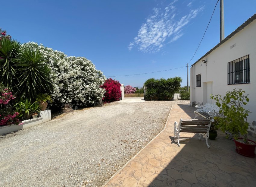 Resale - Villa - Daya Nueva