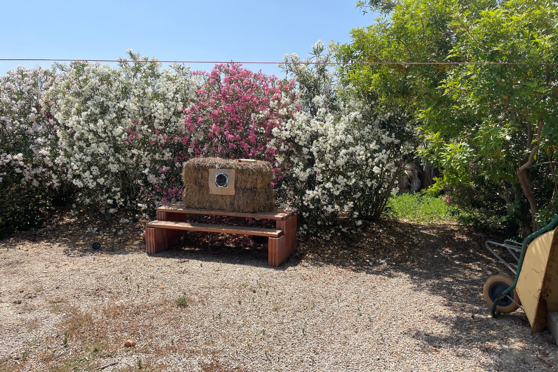 Resale - Villa - Daya Nueva