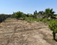 Resale - Villa - Daya Nueva