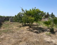 Resale - Villa - Daya Nueva