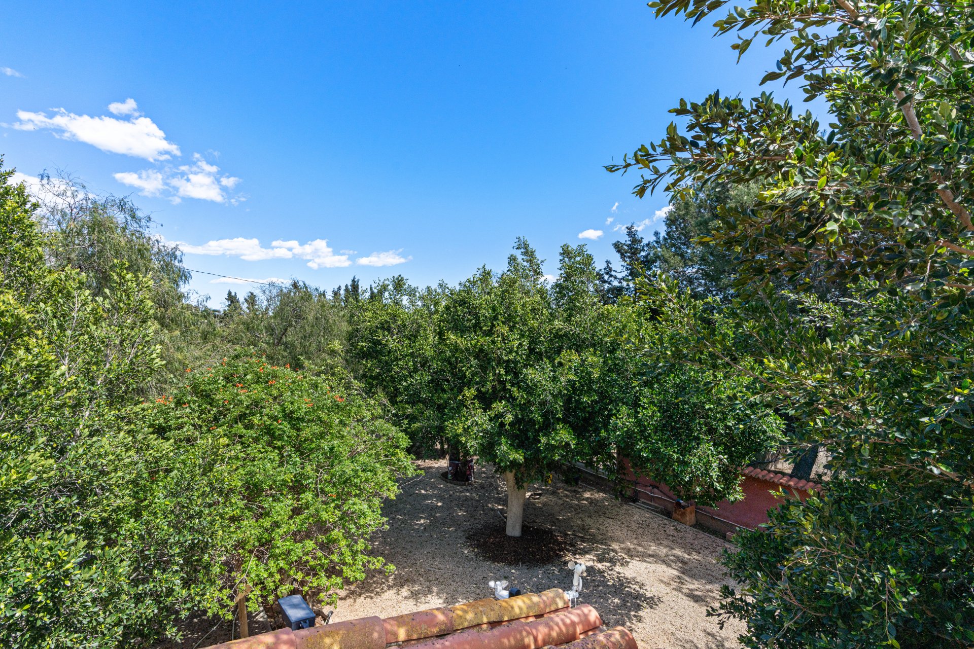 Resale - Villa - El Altet - San Francisco de Asis