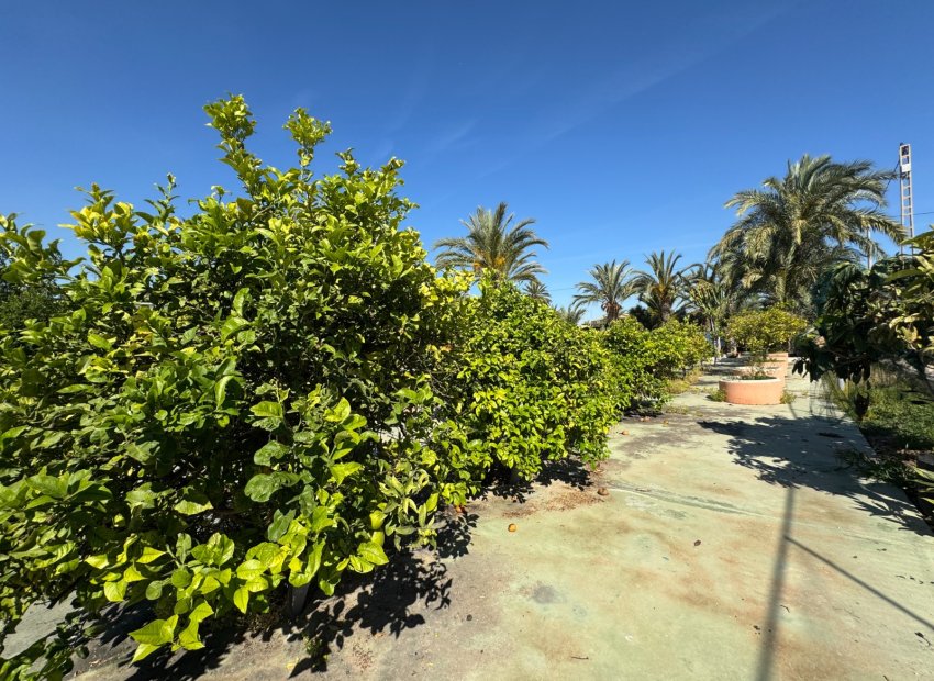 Resale - Villa - Elche - Valverde
