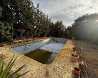 Resale - Villa - Elda