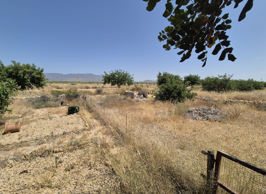 Resale - Villa - Fuente Alamo - Fuente Alamo de Murcia