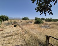 Resale - Villa - Fuente Alamo - Fuente Alamo de Murcia
