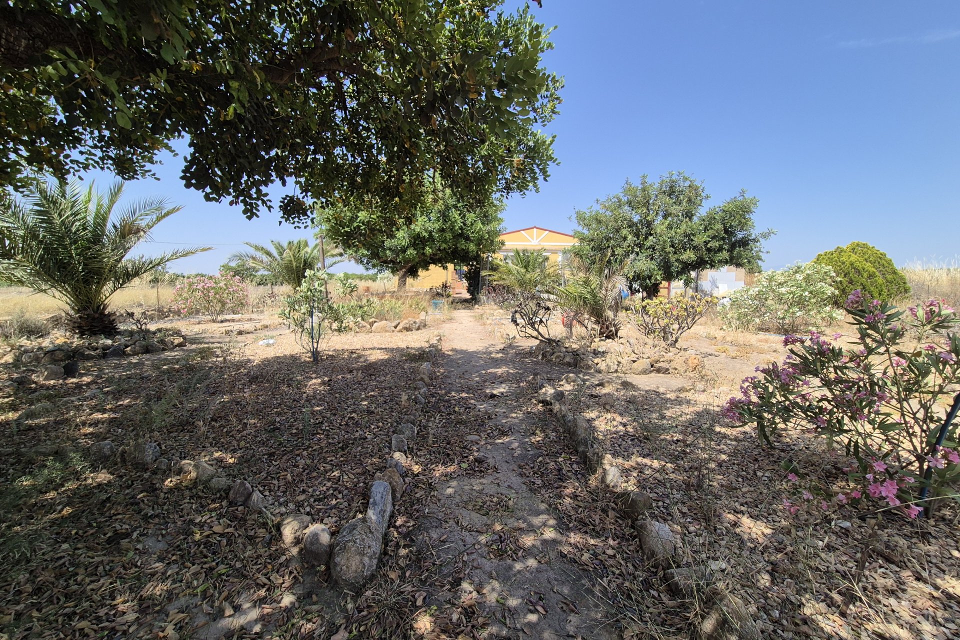 Resale - Villa - Fuente Alamo - Fuente Alamo de Murcia