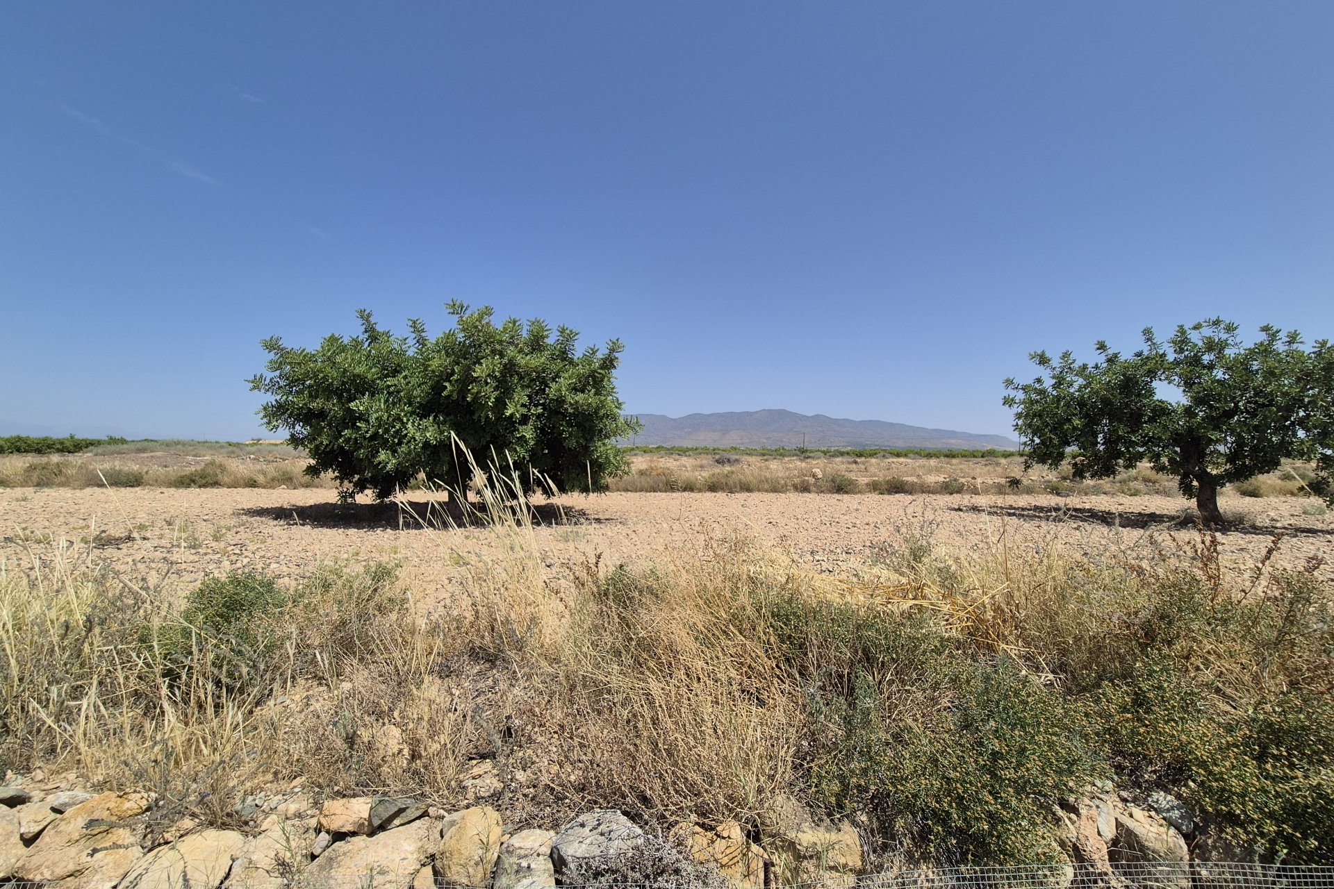 Resale - Villa - Fuente Alamo - Fuente Alamo de Murcia