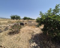 Resale - Villa - Fuente Alamo - Fuente Alamo de Murcia