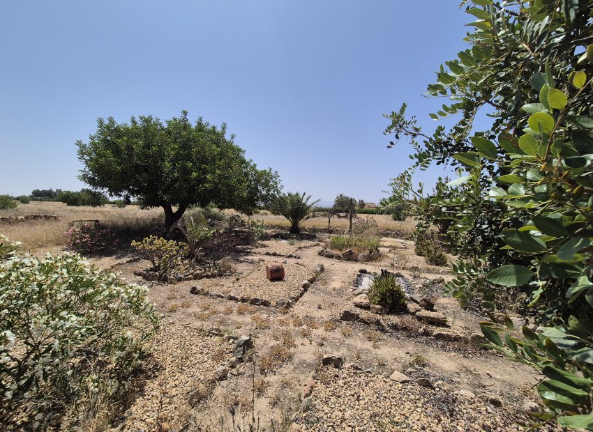 Resale - Villa - Fuente Alamo - Fuente Alamo de Murcia