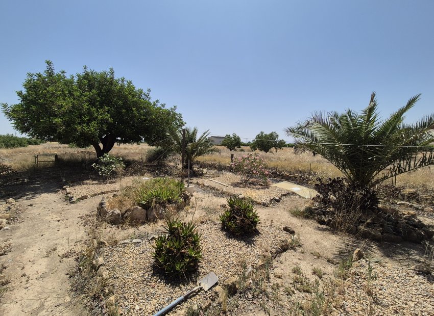 Resale - Villa - Fuente Alamo - Fuente Alamo de Murcia