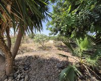 Resale - Villa - Fuente Alamo - Fuente Alamo de Murcia