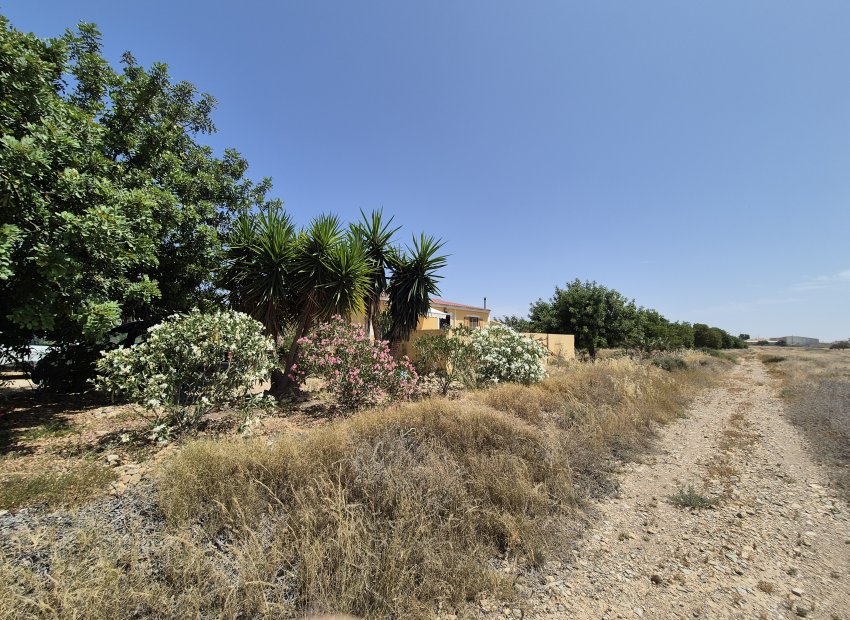 Resale - Villa - Fuente Alamo - Fuente Alamo de Murcia