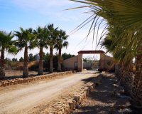 Resale - Villa - Fuente Alamo - Fuente Alamo de Murcia
