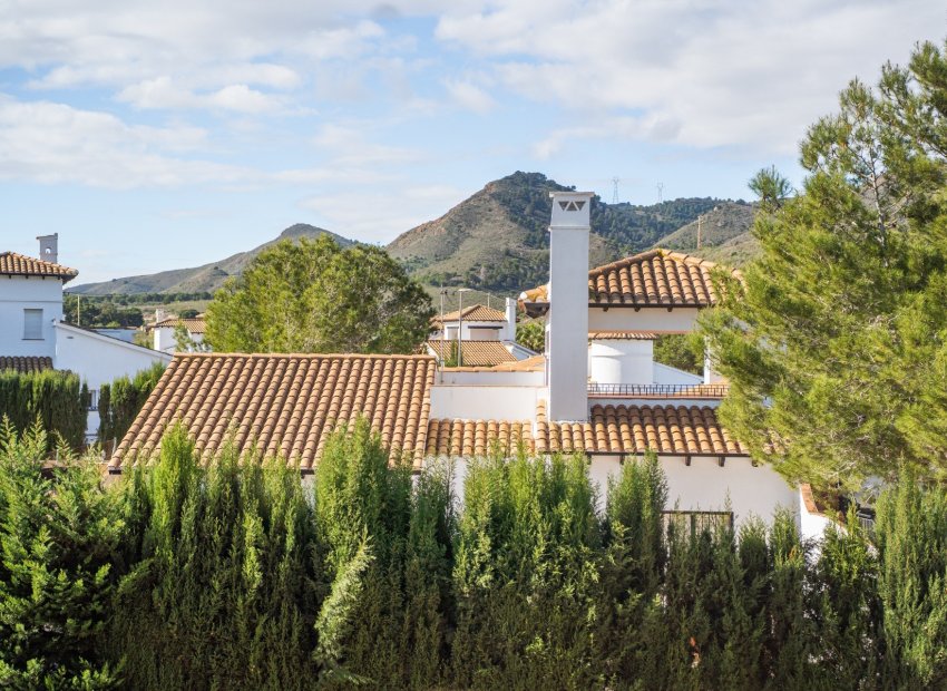 Resale - Villa - Fuente Alamo - Las Palas