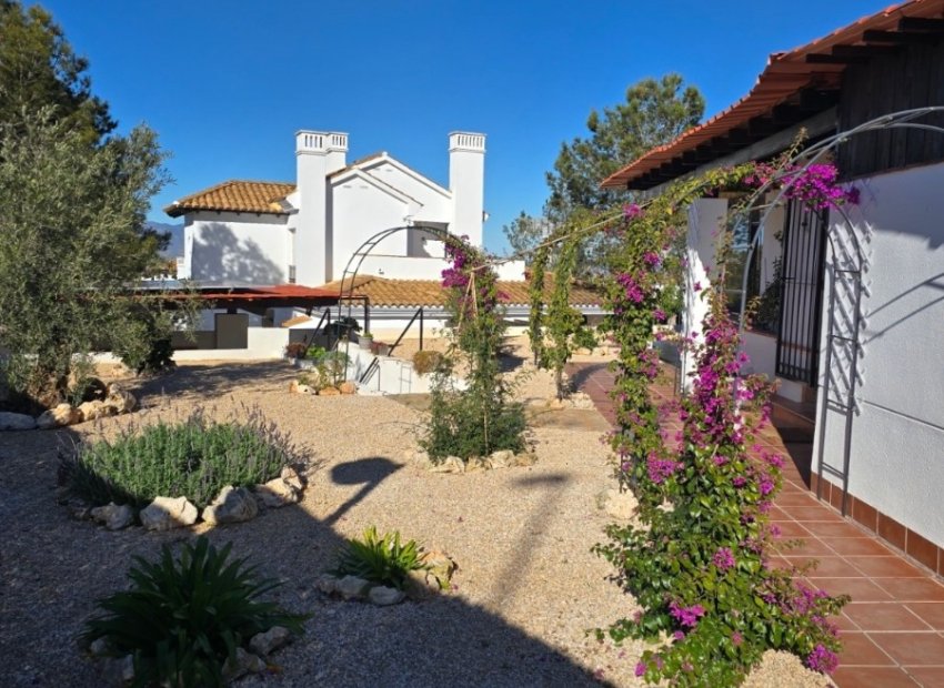 Resale - Villa - Fuente Alamo - Las Palas