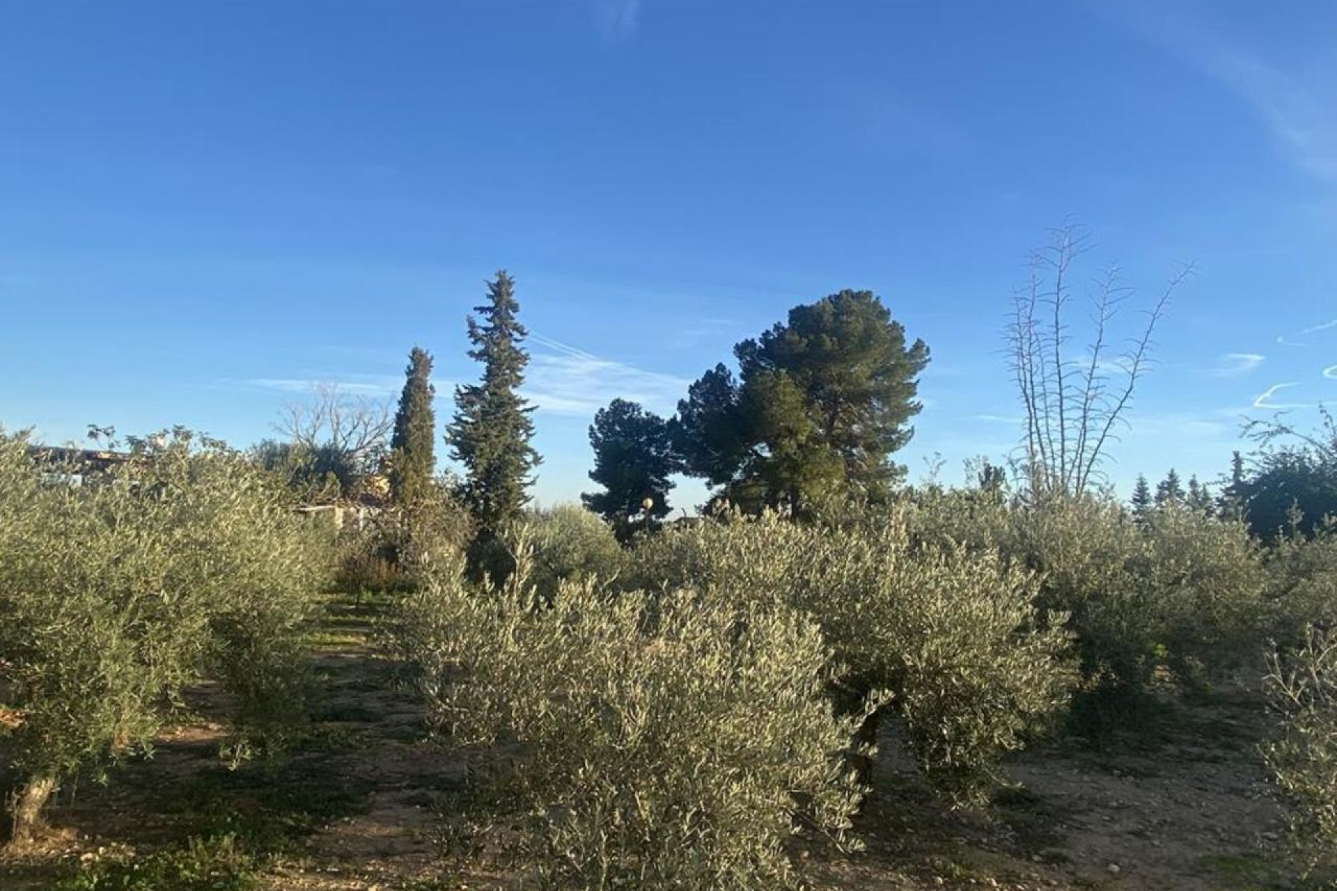 Resale - Villa - Gea Truyols - Gea y Trujols