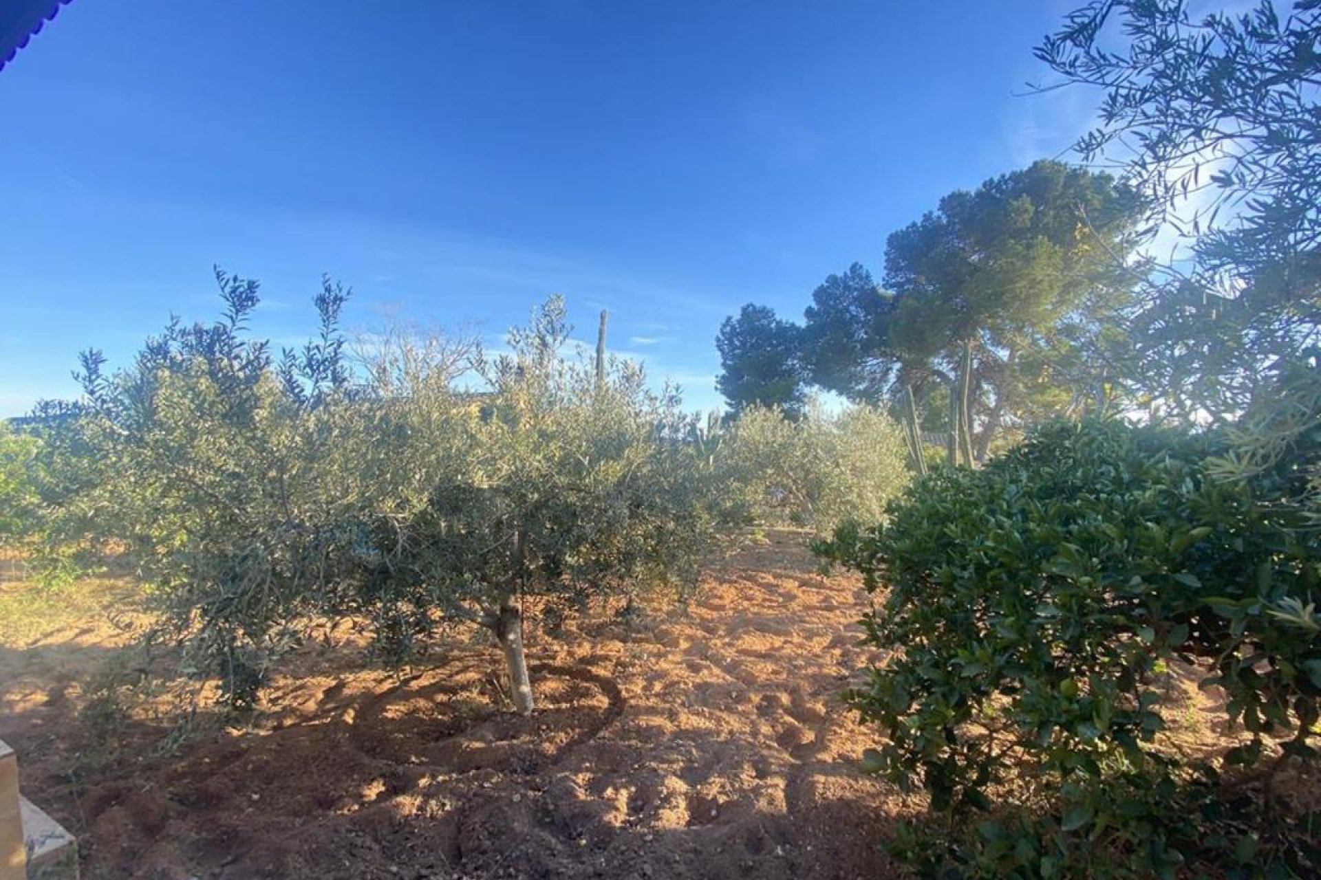 Resale - Villa - Gea Truyols - Gea y Trujols